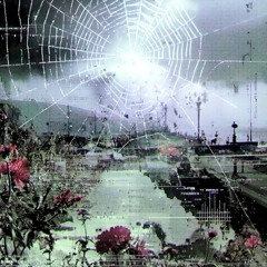 no altruism ft Pittkiid (prod. abyss33)