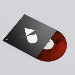 PREMIERE : cv313 – Spectral Vector (Alt / Dub)