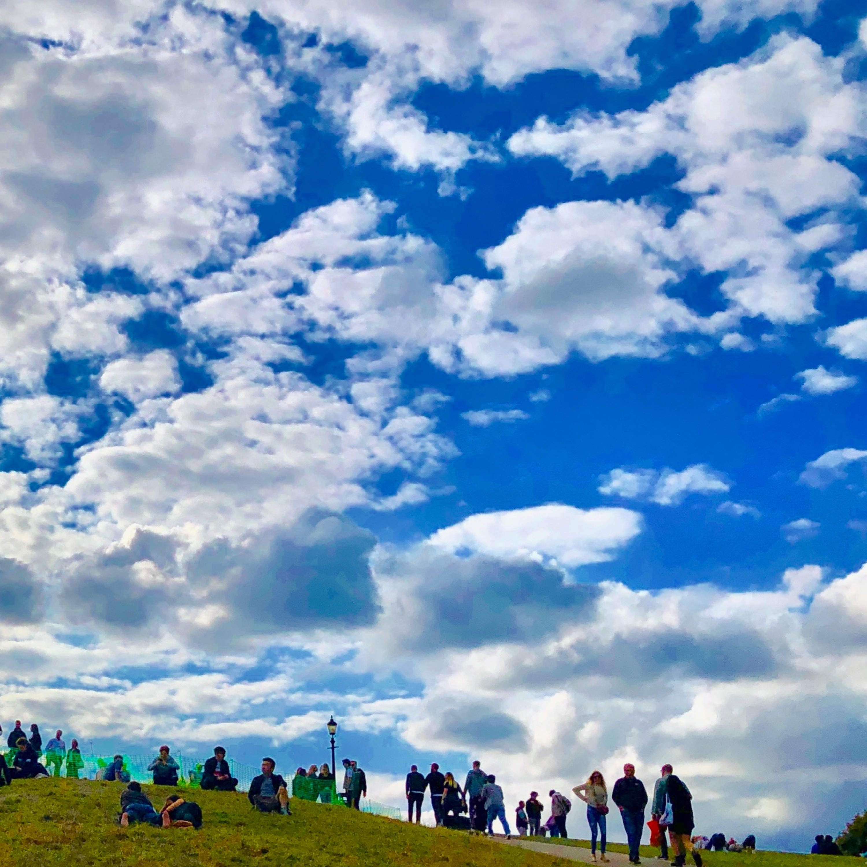 Primrose Hill episode artwork