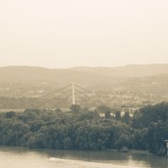 Dub Techno Session | 108 | Sad Birds Still Fly