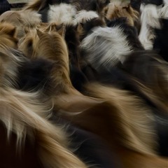 how could i let go of you