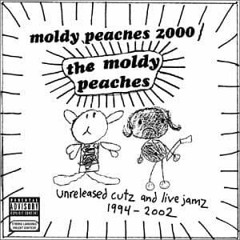 The Moldy Peaches - County Fair