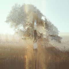 Alone On A Summers Eve (Mix)