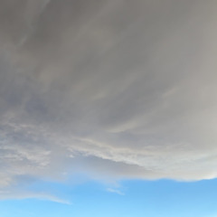 Feel This Way [Rough Mix]