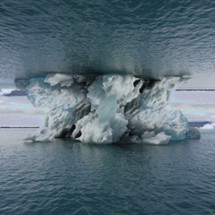 Equilibrium
