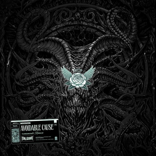 MARAUDA - AVOIDABLE CAUSE (ranunculi's Floral Arrangement)