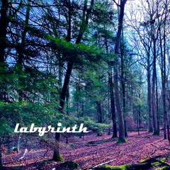 light up the room (feat. lil turk, lil mafi & lil penny)