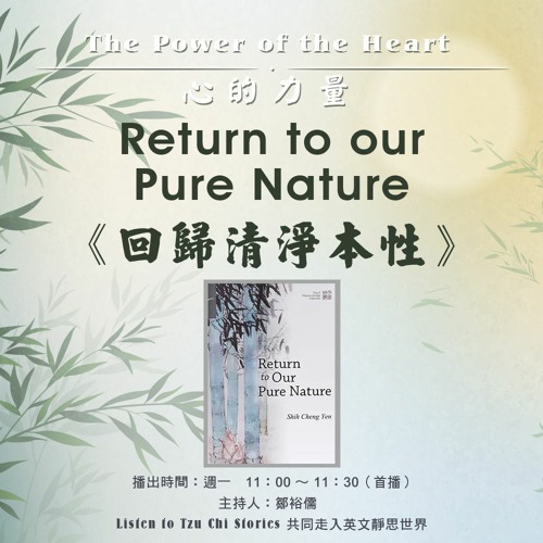 Stream Daairadio Listen To Return To Our Pure Nature 回歸清淨本性 Playlist Online For Free On Soundcloud
