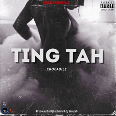 Crocadile - Ting Tah [Ting Tah Riddim] ft Dj Skaytah & Dj Luchshiy 🇱🇨 🇲🇫