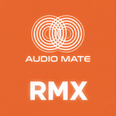 Audio Mate - Heathens 21 Pil DnB RMX