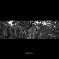 [Premiere] AudioCompress - Reflection