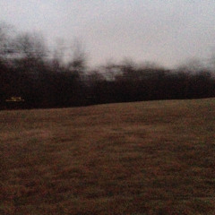 Day 14 - Eternal Return