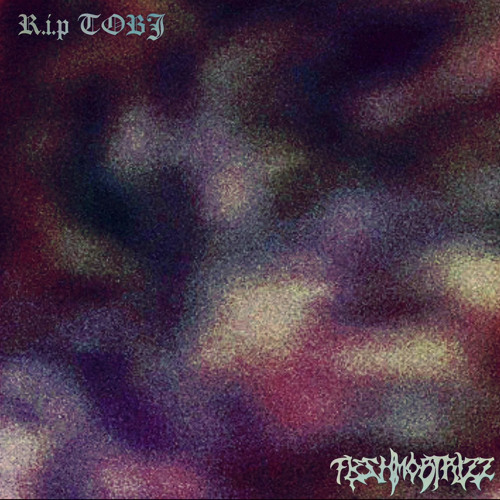 R.I.P TOBI (@FLESHMOBTRIZZ)