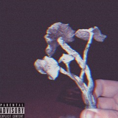 Cross Faded