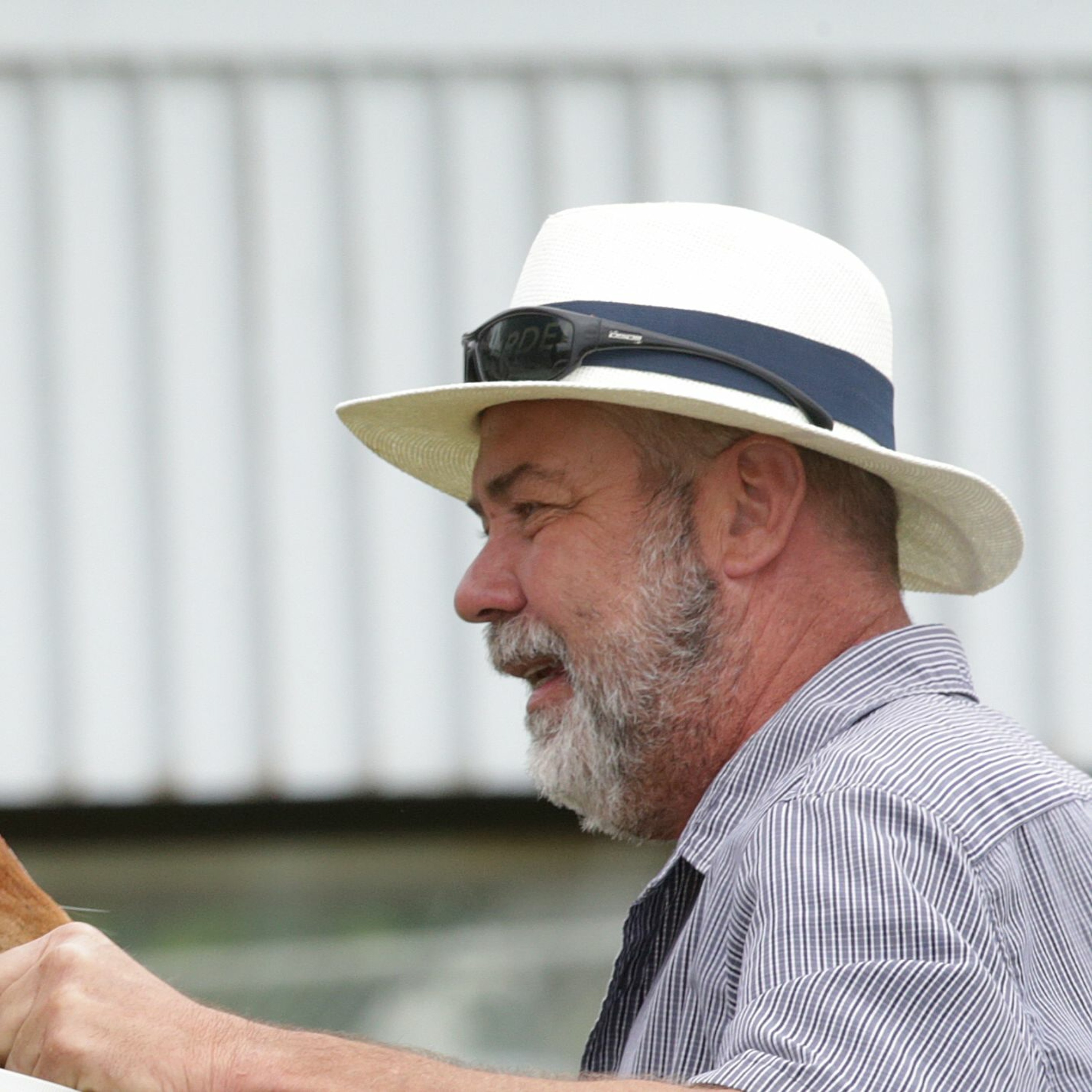 NZ Racing News