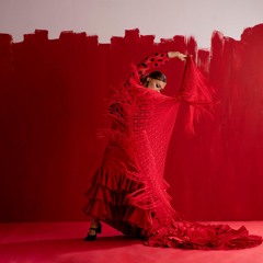 Flamenco Nights in Seville