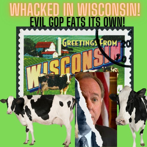 Corrupt Wisconsin Speaker Robin Vos Is Allegedly Removing GOP Members