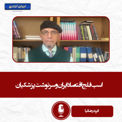 اسب فلج اقتصاد ایران و سرنوشت پزشکیان