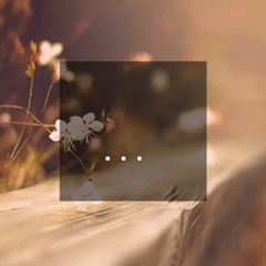 From This Moment On - Shania Twain (Cover)