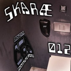 CGA Showcase 012 - SKARÆ
