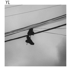 YL # 003