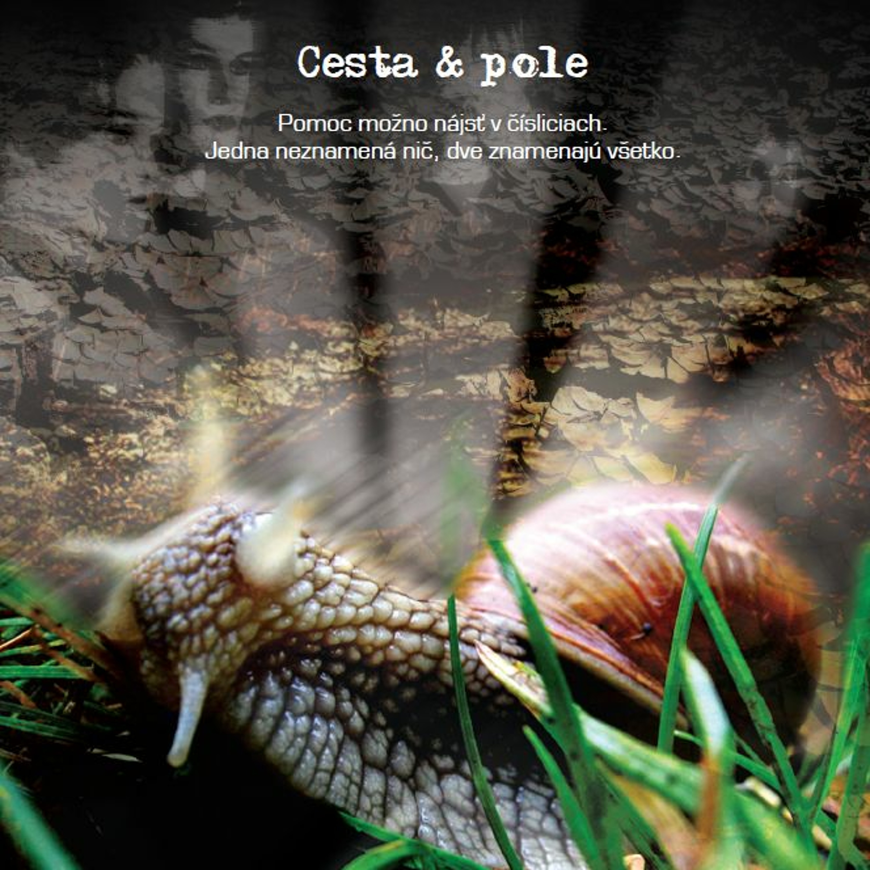 Cesta a pole (Road and field) episode artwork
