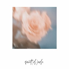 quiet(d)ude. - rose gold.