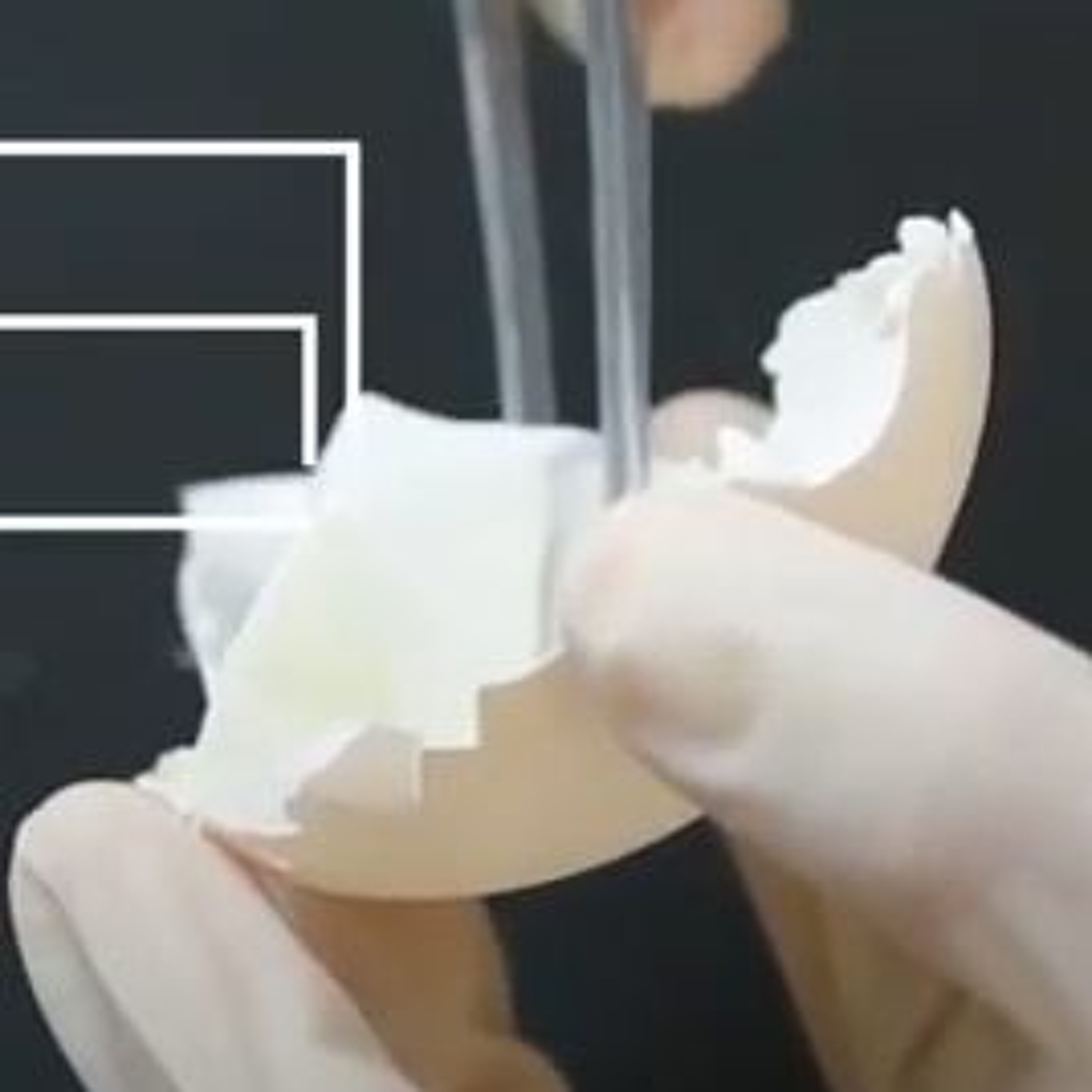 大江學院 TCI Academy