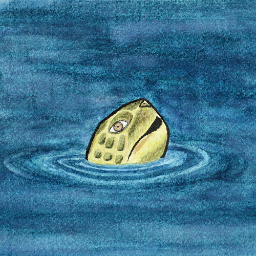 I Am Nature, I Am Turtle