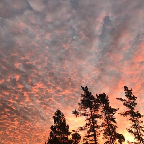 IT WAS MAGICAL FOR ME