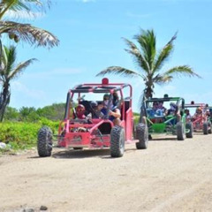 Review Special Price Select Atv Or Buggy With Jhoraji
