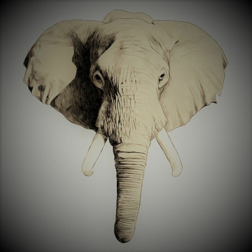 Roam Of The Elephants