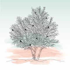 Lesson 4: Truthfulness