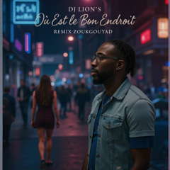 OÙ EST LE BON ENDROIT  By Dj Lion'S Remix AfroGouyad