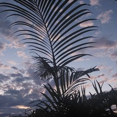 EnjoySunday] Z [] Z 3.mp3