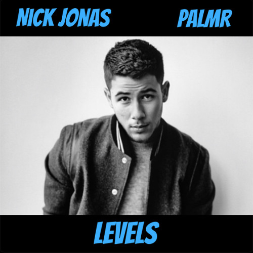 Levels (PALMR Remix)