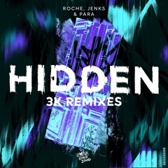 Roche - Hidden (Para Remix) [Premiere]