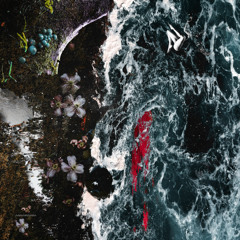 The How Will Show Up