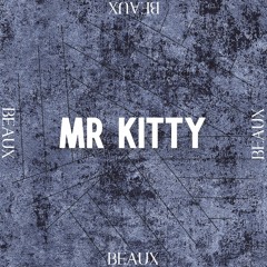 MR KITTY