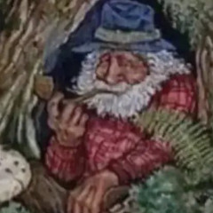 Ty Segall/Black Time Split