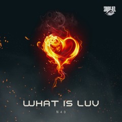 N40 - What Is Luv [Sonido Records]