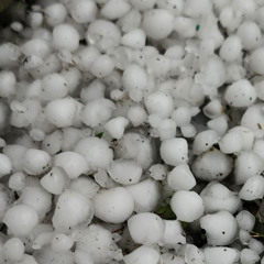 July Hail Damage Update