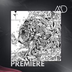 PREMIERE: Ten Walls feat. Boy From Suburbs - Save Me [White Rose Recordings]