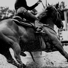 american cowboy [sample]