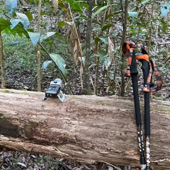 Conondale Trail