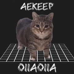 AEkeep - OIIAOIIA