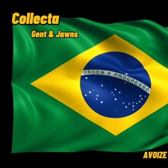 Gent & Jawns - Collecta(AVOIZE Baile Funk Remix)