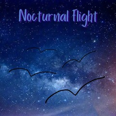 Nocturnal Flight