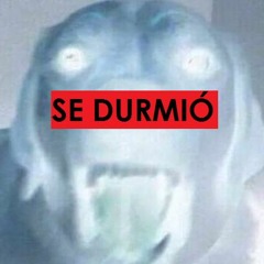 sE DURMIó