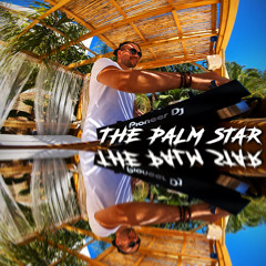 The Palm Star Ibiza Mix 3